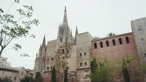 Barcelona - Cathedral of Barcelona as seen from Pla de la Seu