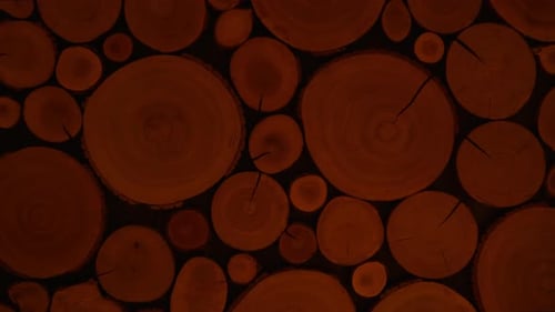 Abstract Wooden Log Wall Background