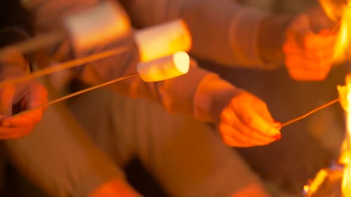 Roasting Marshmallows Over a Campfire
