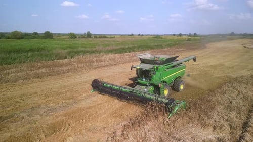 Farmer Working on Wheat Field with Combine Harvester