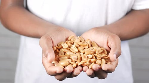Close Up of Peanuts on Hand