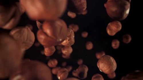 Hazelnuts Floating Against Dark Background