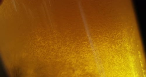 Macro Shot of Golden Bubbling Beer Filling Glass