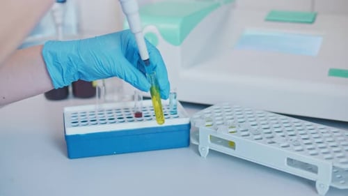 Gloved Hand Pipetting Liquid into Test Tubes