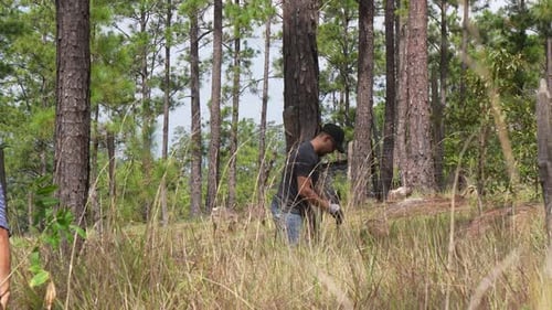 Two men ecologist working planting a tree in the forest