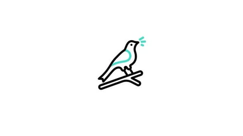 Fluid Line Art Bird Reveal