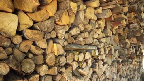 Woodpile of a split tree in close-up. Logs of firewood, chopped and stacked. Stack of firewood