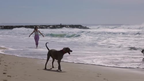 Woman and Two Dogs Running and Playing at the Beach