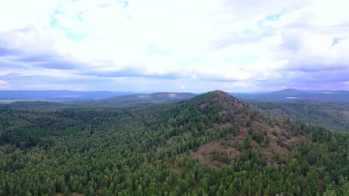 Flight Over Green Hills Covered with Forests