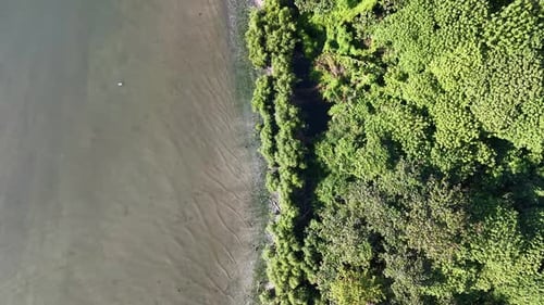 Drone view of Jelutong coastal fisherman jetty and mangrove shoreline
