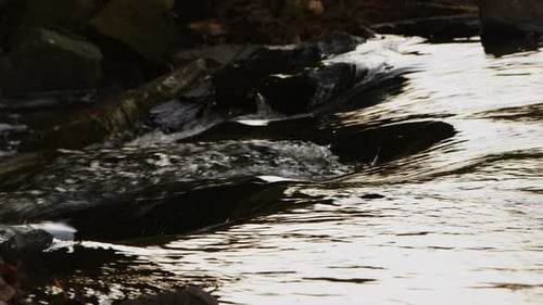 Waterfall On A River In Wild Nature 13