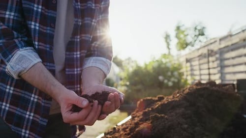 Unrecognizable gardener checking the soil quality . Shot with RED helium camera in 8K.