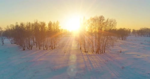 Aerial Drone View of Cold Winter Landscape with Arctic Field Trees Covered with Frost Snow and