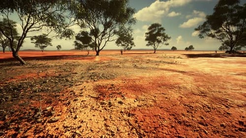 Badly Cracked Earth Under a Scorching Sun