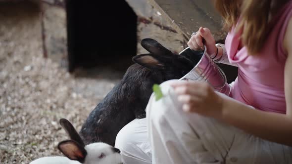 Feeding Rabbits From Hand Young Woman Contacts with Animals, Nature ...
