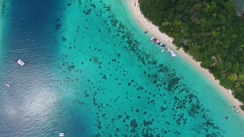 Beach Corals and Sea on Tropical in Thailand