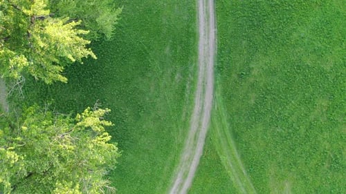 Aerial View of Green Farming Fields and Farmland