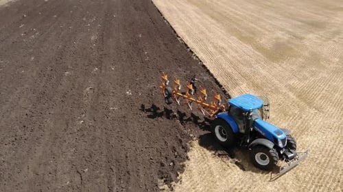 Blue tractor working on the geen wheat field in spring fertilizing the crop