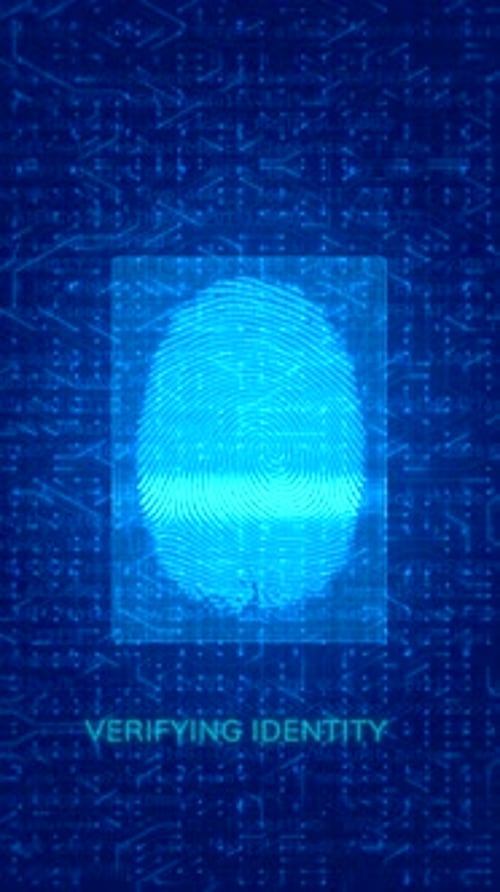 Biometric Fingerprint Scanning with Access Granted Interface for Digital Security and Authentication