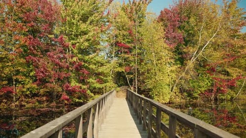 Pont en bois à l'automne