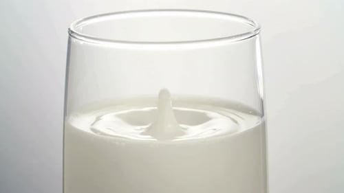 Milk Drop