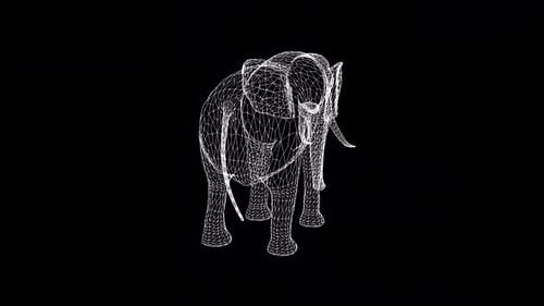 Elefant Wireframe
