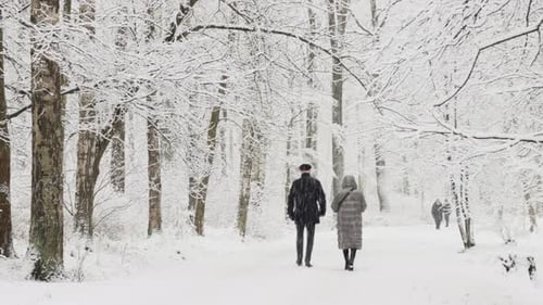 Es schneit heftig im Park, große Schneeflocken fallen langsam auf Äste, Leute.