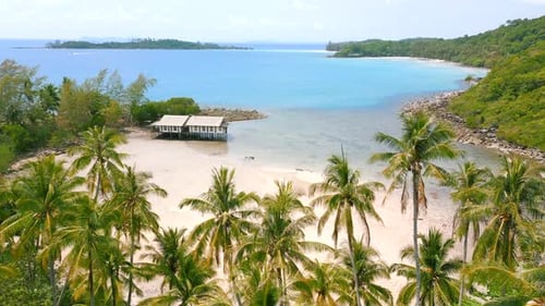 Tropical Paradise Island with White Sandy Beach Turquoise Water and Palm Trees