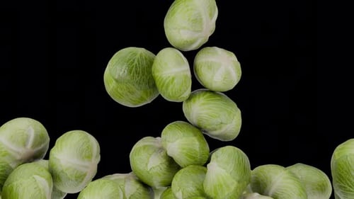 Fresh Brussels Sprouts Falling to Fill Frame