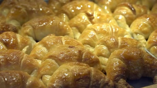 Mini Croissants Pastries on the Counter of a Pastry Shop and a Bakery