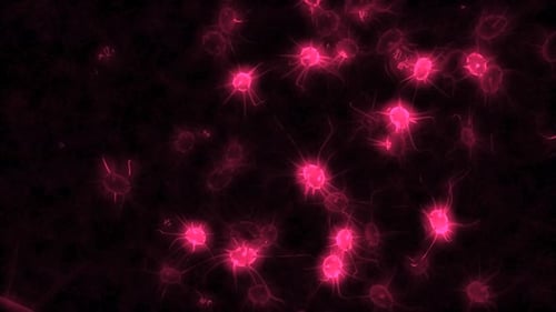 Neurônios cerebrais. Atividade das células nervosas