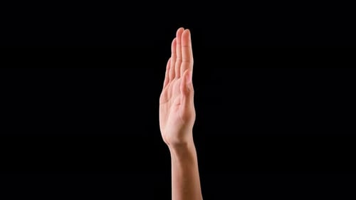 Realistic Waving Hand Gesture Five Times