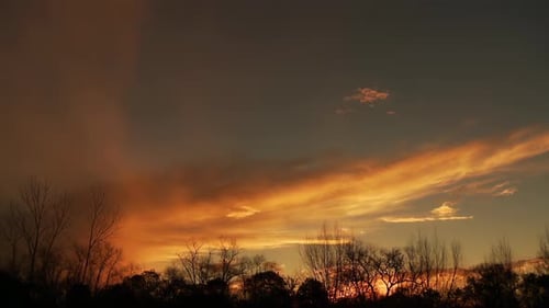 Golden Sunset Sky with Silhouetted Trees