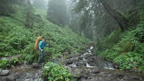 A Tourist with a Backpack Crosses a Mountain River in the Forest