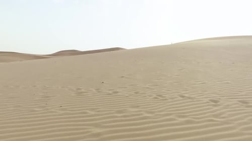 Panoramic Desert Dunes with Ripples and Sparse Vegetation