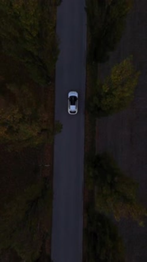 Aerial top-view shot white car driving on a dark narrow road through a forest area.