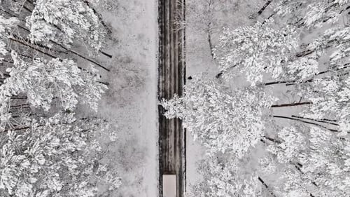 Car driving in winter on asphalt road through snowy forest.