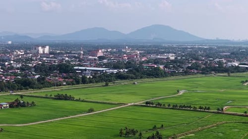 Aerial view of paddy fields and town at Penaga