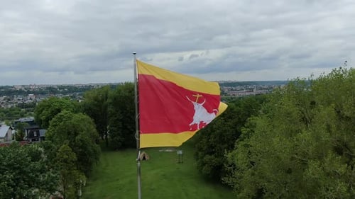 Flag with Bull in the Wind
