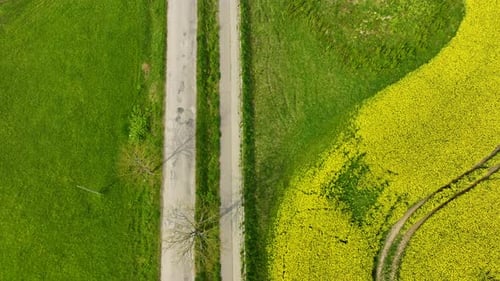 A top-down aerial view of a road cutting through green fields, with a car traveling on it and a brig