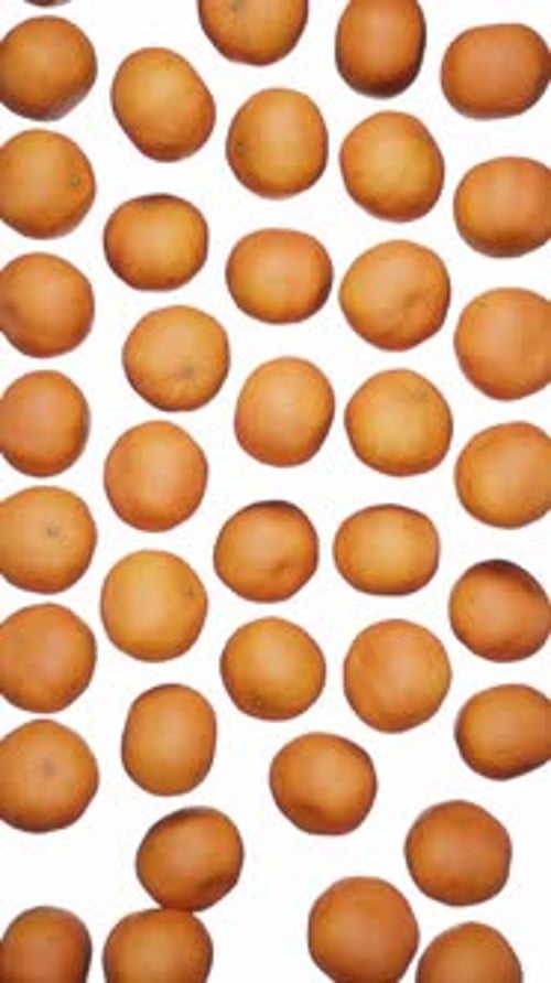 Falling Oranges Seamless Loop on White Background Vertical