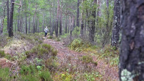 Young athletic woman trail running through pine forest and passing camera - Blurred tree trunk in ri