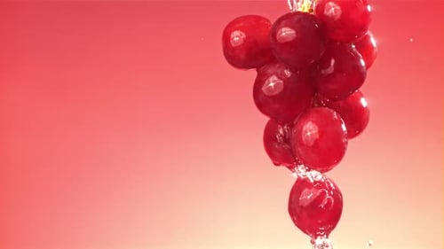 Raindrops Falling on a Branch of Red Grapes on a Pink Background Filmed on a Highspeed Camera at