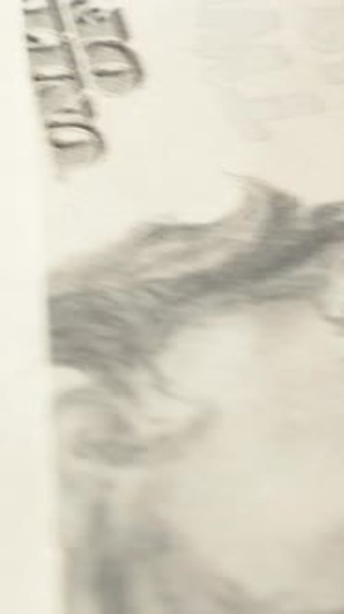 Vertical video. Close-Up of Counting Various Dollar Bills with Portraits of Presidents.