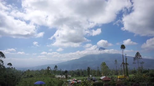 beautiful natural landscape mountains hilly nature panorama, with forest of tall green trees