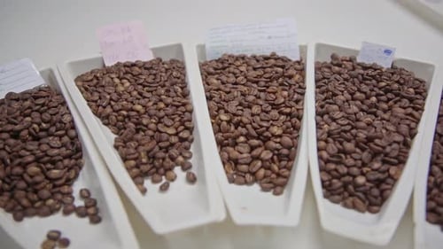 working in a cocoa factory toasting the cocoa beans.