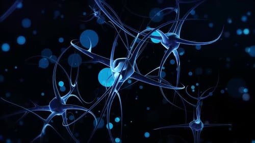 DNA molecules are organized in structures called chromosomes