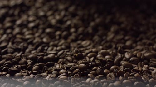 Roasted Coffee Beans Slowly Cooling