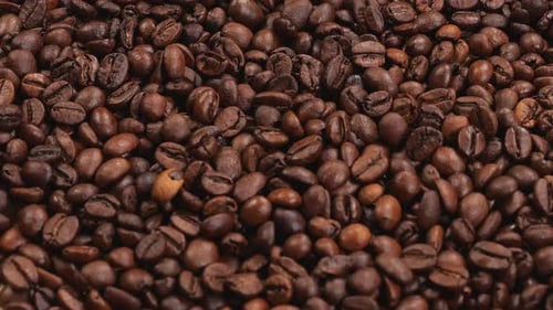 Close Up of Roasted Coffee Beans
