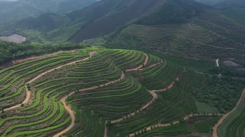 Aerial View of Beautiful Tea Garden Rows and Villages in Anji Huzhou Zhejiang Province China